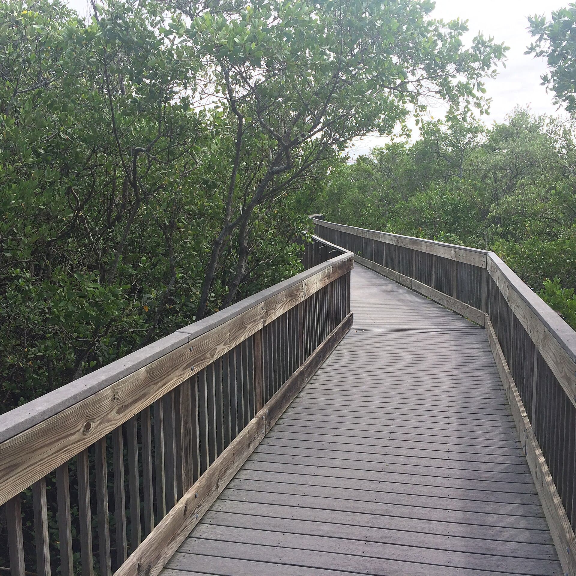 Commissioners Eye $500,000 From Campus Reserves to Keep Weedon Island Open