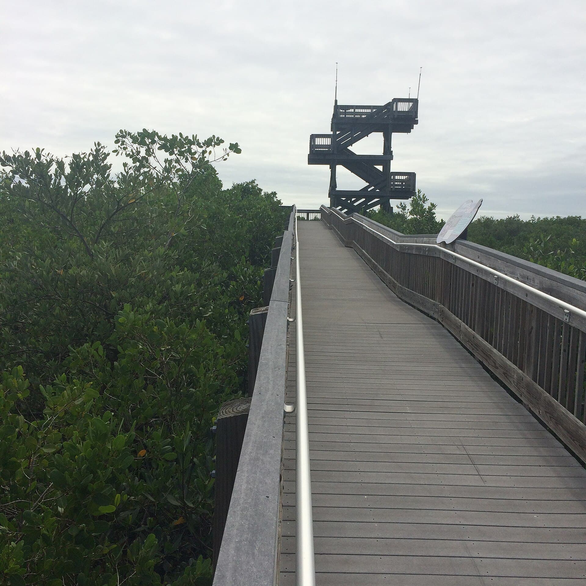 Pinellas Lowers Tax Rate, Restores Weedon Island Funding in Tentative FY27 Budget
